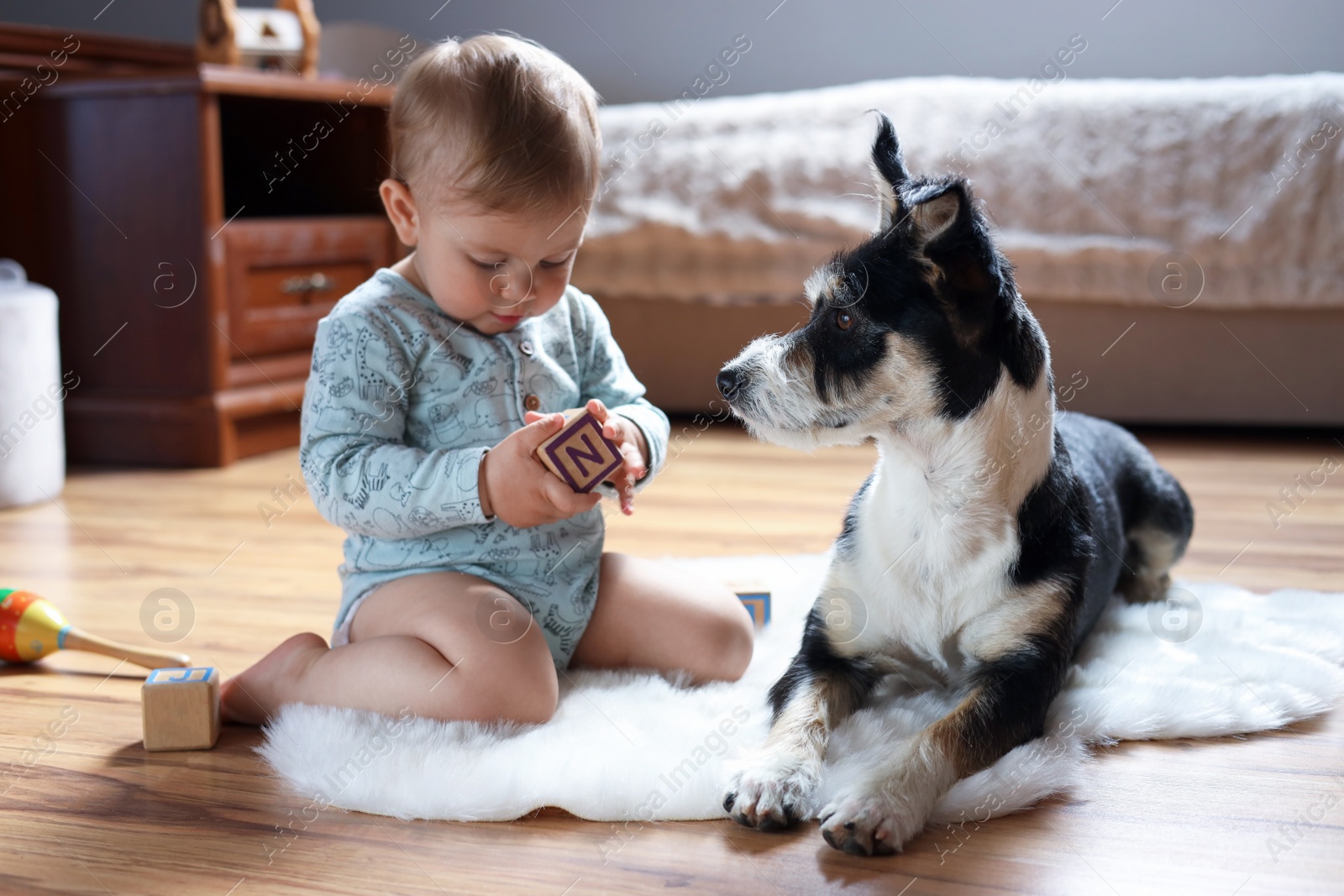 Photo of Adorable baby with toys and cute dog on faux fur rug at home