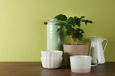 Photo of Potted plant and set of kitchenware on wooden table near green wall, space for text. Modern interior design