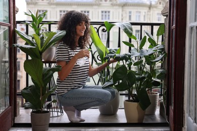Photo of Beautiful young woman spraying potted monstera with water on balcony