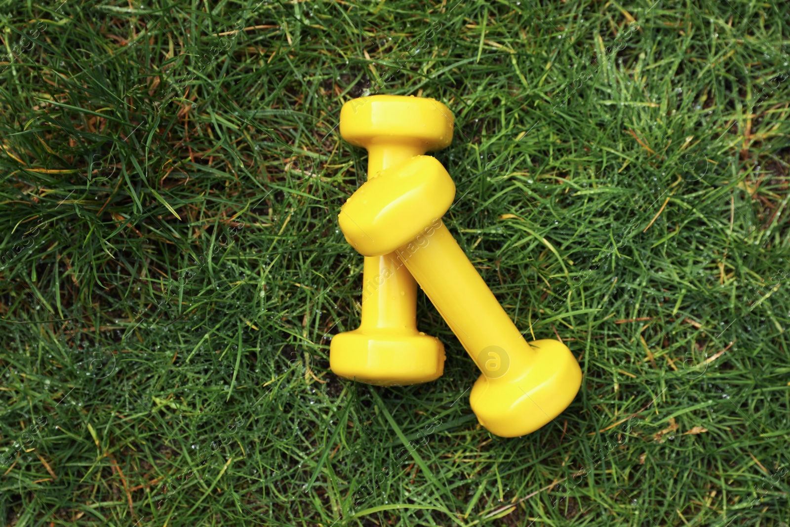 Photo of Yellow dumbbells on green grass, top view. Morning exercise