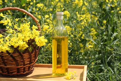 Photo of Rapeseed oil in bottle and basket with flowers on tray outdoors, closeup