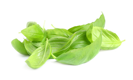 Photo of Pile of fresh basil leaves isolated on white