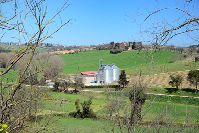 Modern granaries for storing cereal grains outdoors on sunny day