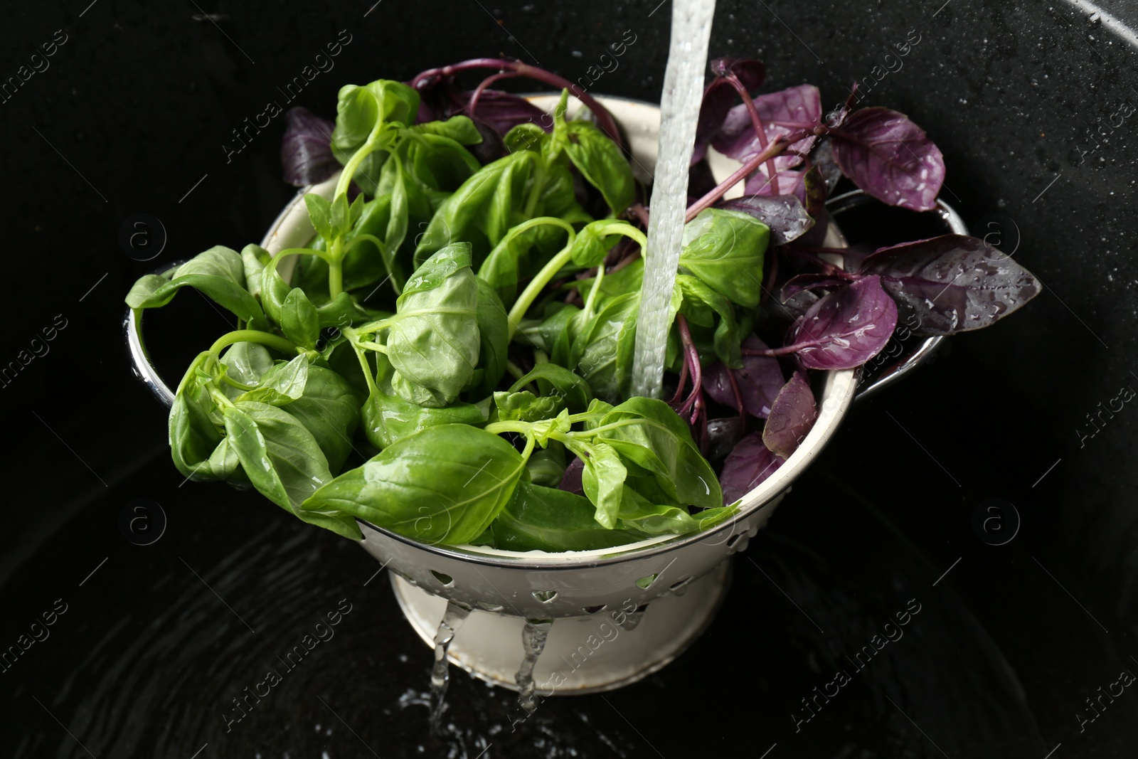 Photo of Washing different fresh basil leaves under tap water in metal colander in sink