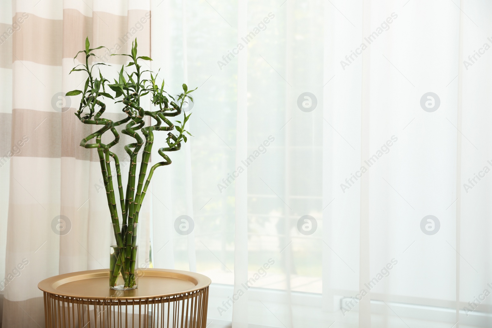 Photo of Vase with bamboo stems on table indoors, space for text