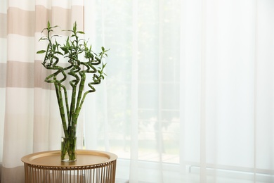 Vase with bamboo stems on table indoors, space for text