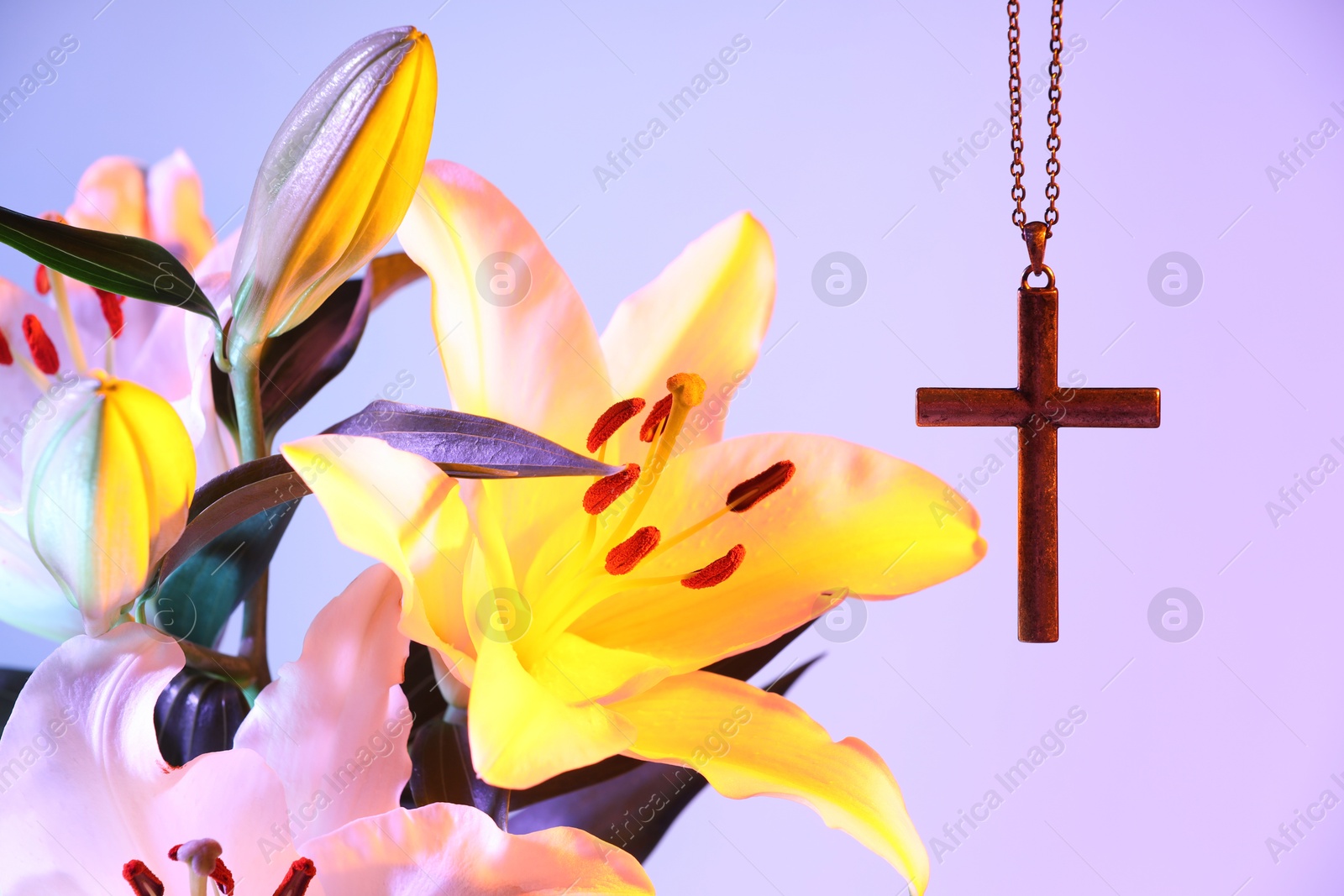 Photo of One cross with chain and beautiful lily flowers on pink background, closeup. Religion of Christianity