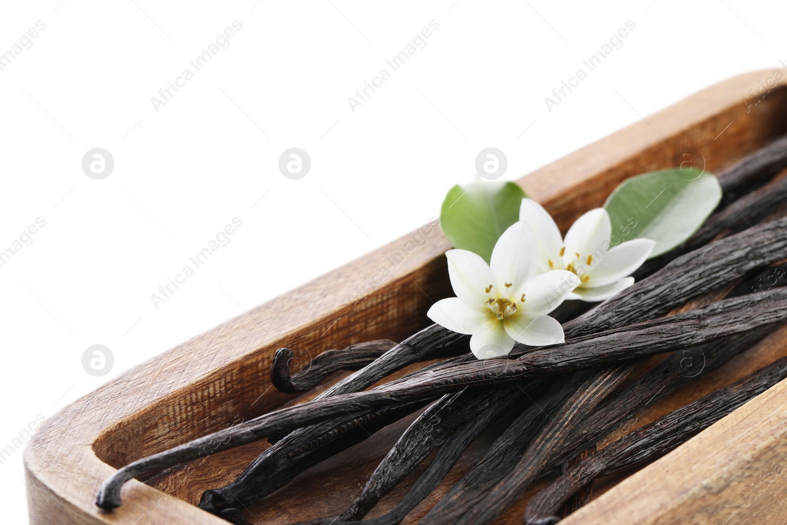 Photo of Vanilla pods, green leaves and flowers isolated on white