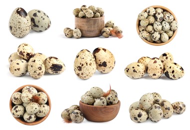 Image of Set with quail eggs on white background