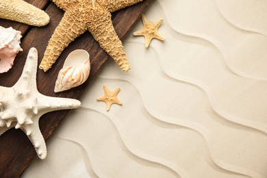 Photo of Beautiful sea stars and shells on sand, top view. Space for text