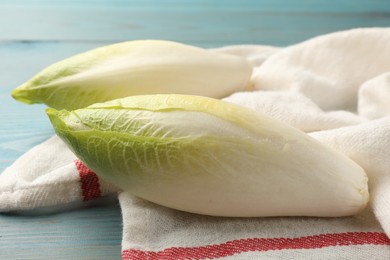 Photo of Fresh raw Belgian endives (chicory) on light blue wooden table, closeup