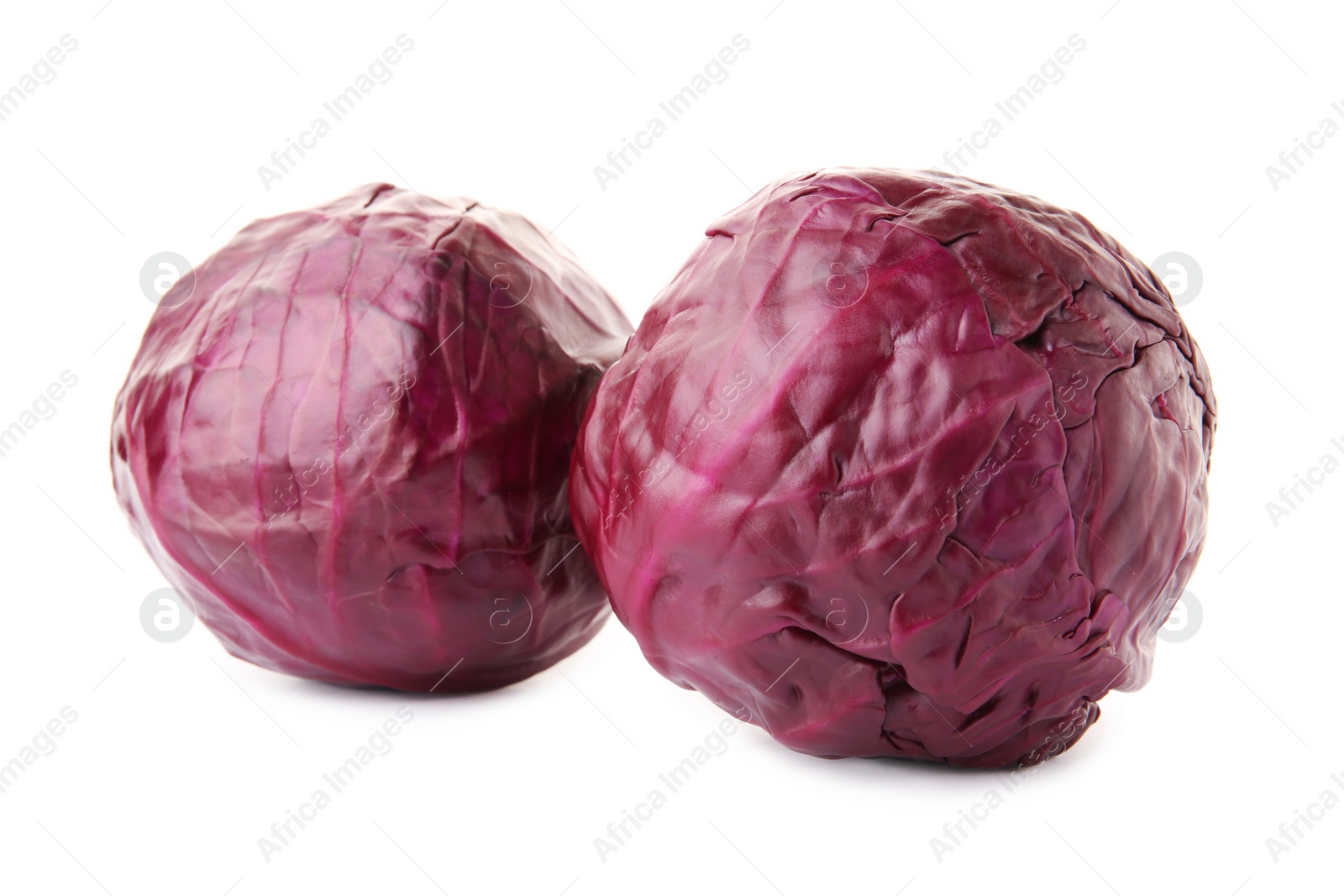 Photo of Whole ripe red cabbage on white background