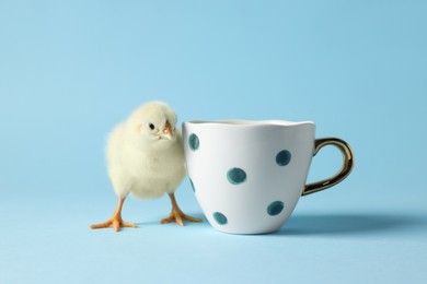 Photo of Cute chick and cup on light blue background, closeup. Baby animal