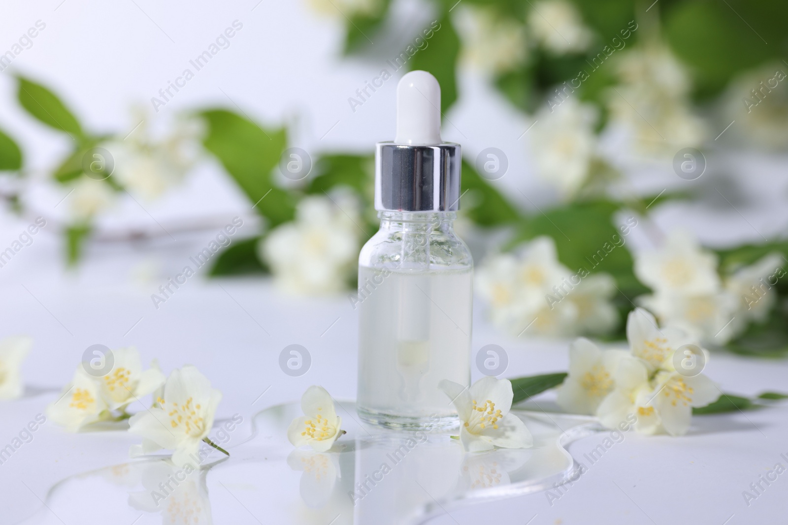 Photo of Essential oil in bottle and beautiful jasmine flowers on white background