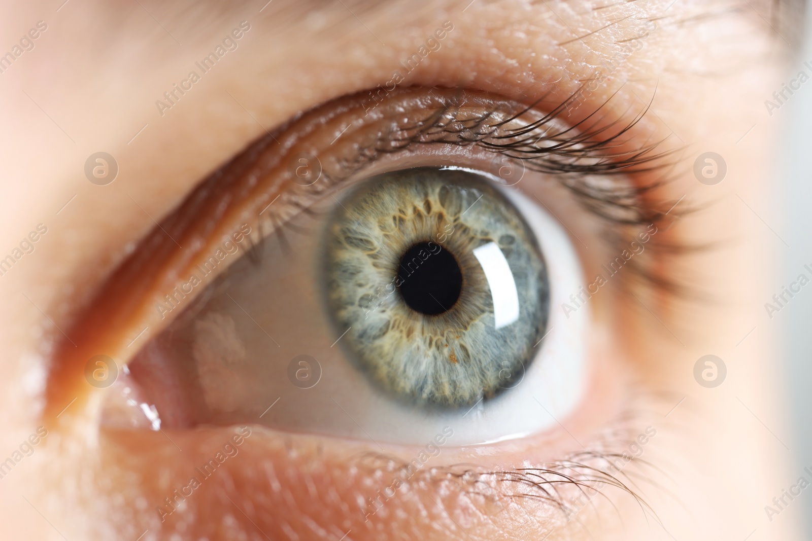 Photo of Macro photo of woman with beautiful eyes