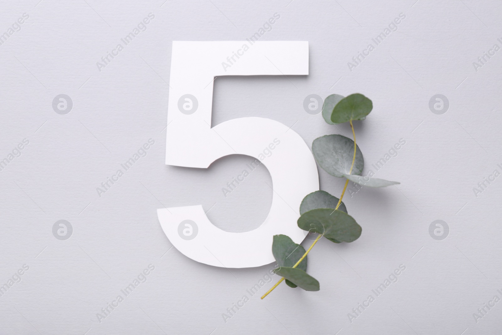 Photo of Paper number 5 and eucalyptus branch on light grey background, top view