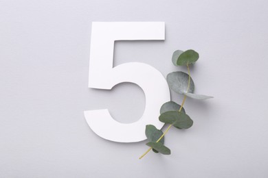 Paper number 5 and eucalyptus branch on light grey background, top view