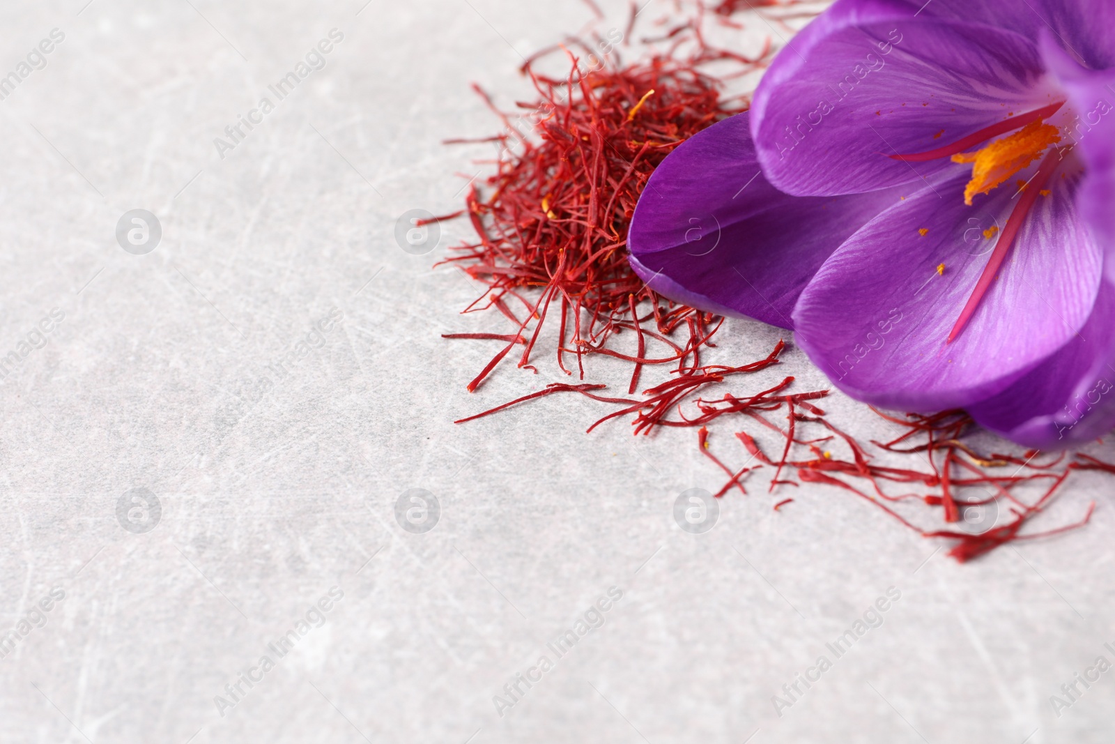 Photo of Dried saffron and crocus flower on light table, closeup. Space for text