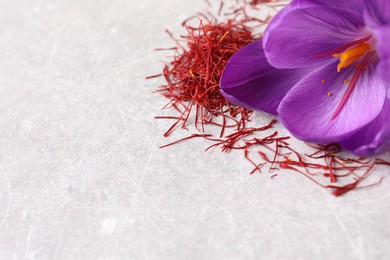 Dried saffron and crocus flower on light table, closeup. Space for text