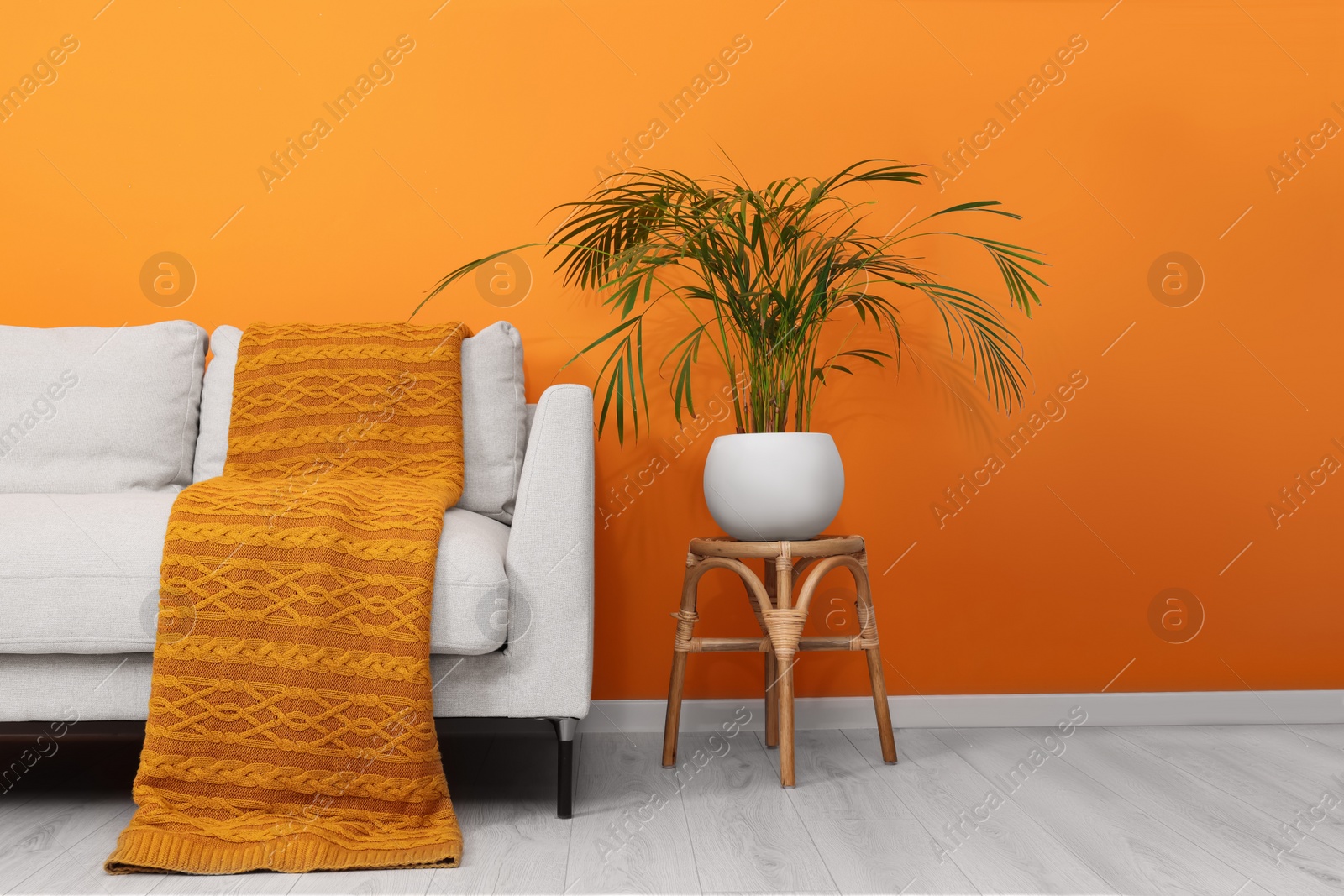 Photo of Comfortable sofa with orange blanket and houseplant indoors. Interior design