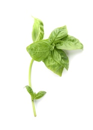 Photo of Fresh green basil leaves on white background