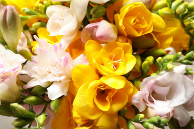 Photo of Beautiful colorful freesia bouquet as background, closeup