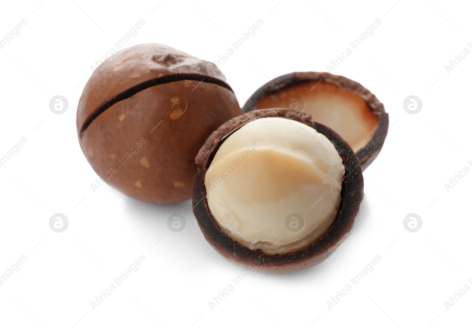 Photo of Two organic Macadamia nuts on white background