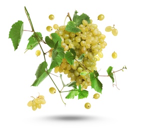 Fresh ripe grapes with green leaves falling on white background