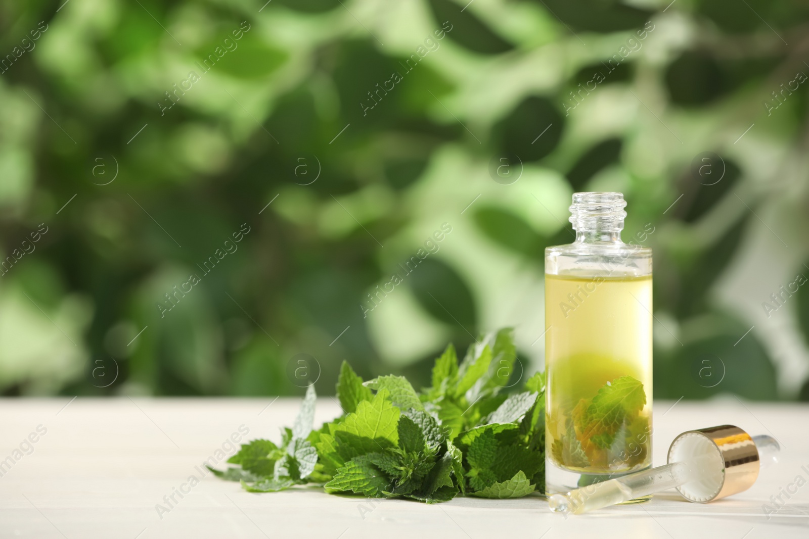 Photo of Glass bottle of nettle oil with dropper and leaves on white table against blurred background, space for text