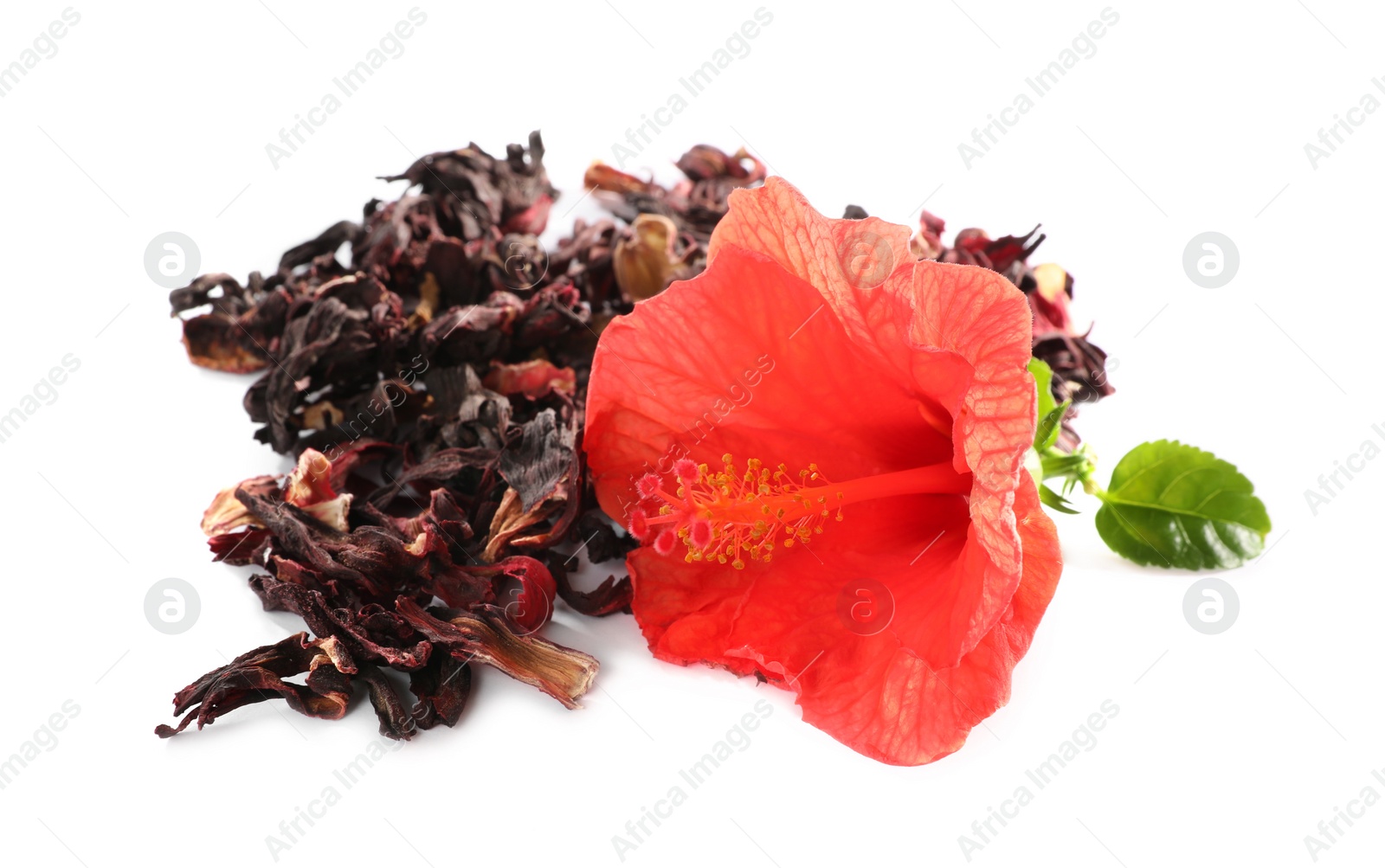 Photo of Dry hibiscus tea and beautiful flower on white background