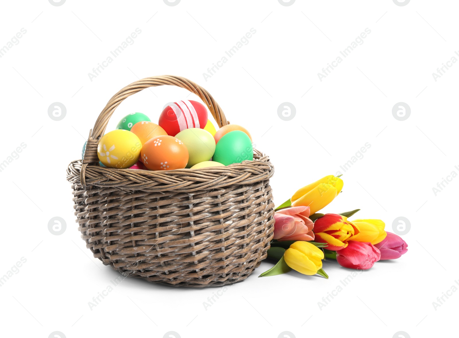 Photo of Bright Easter eggs in wicker basket and tulips isolated on white background