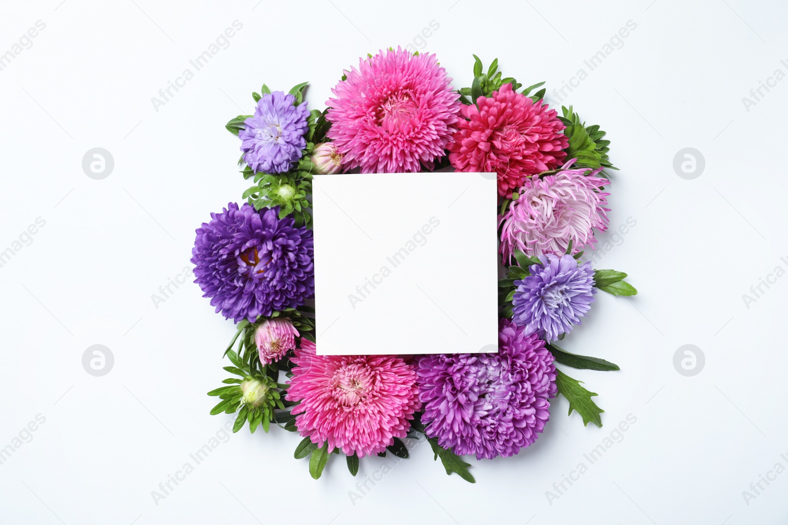 Photo of Beautiful aster flowers with sheet of paper on white background, top view. Space for text