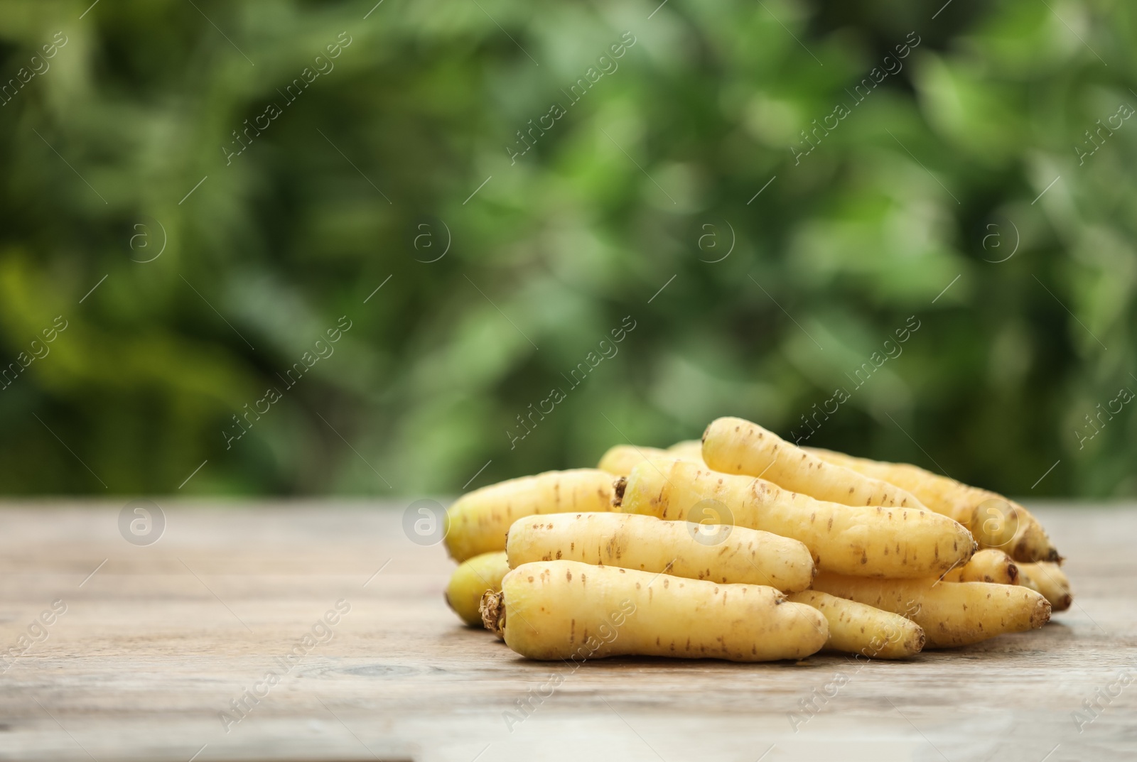 Photo of Raw white carrots on wooden table against blurred background. Space for text