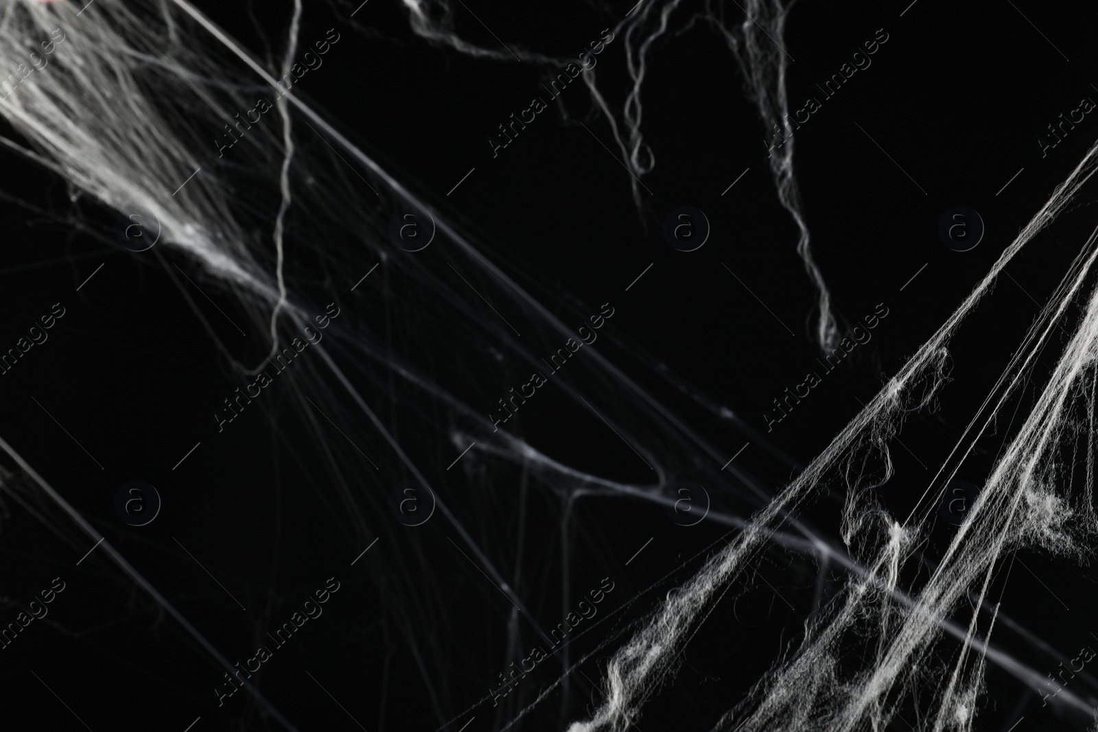 Photo of Creepy white cobweb on black background, closeup