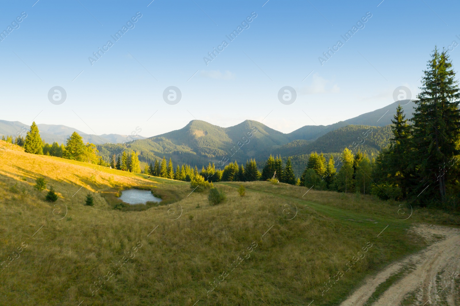 Image of Beautiful landscape with forest and pathway in mountains