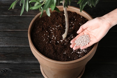 Photo of Woman fertilizing pot plant on wooden table, closeup. Gardening time