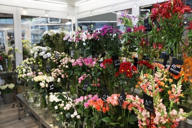 Assortment of beautiful flowers in shop. Florist's workplace