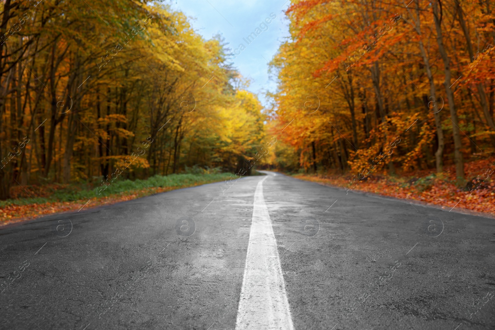 Photo of Beautiful view of asphalt road going through autumn forest