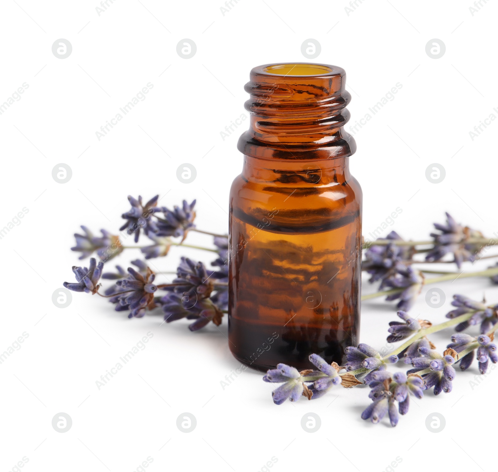 Photo of Bottle of essential oil and lavender flowers on white background