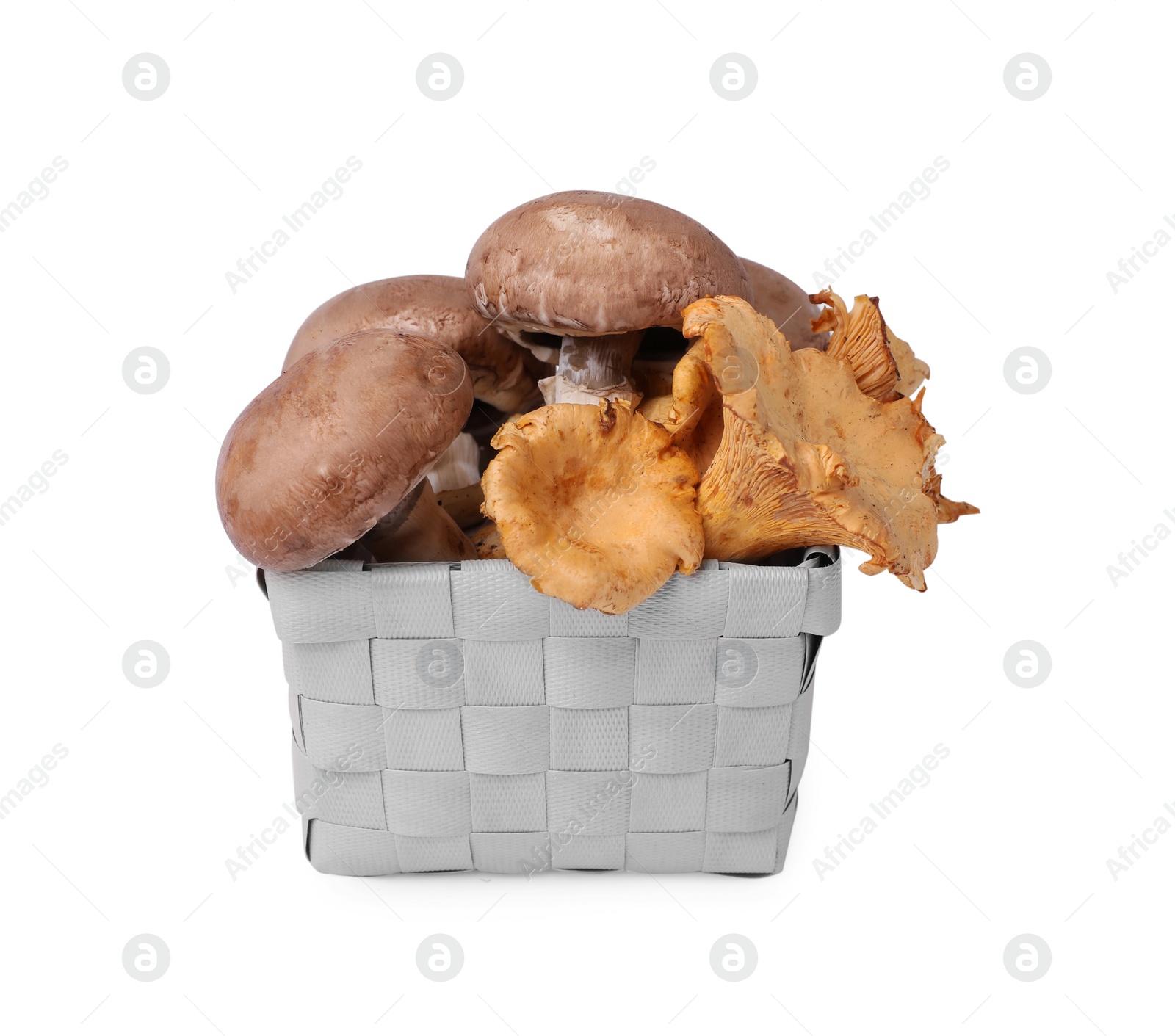 Photo of Basket of fresh chanterelle and champignon mushrooms isolated on white