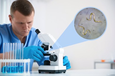 Image of Laboratory worker using modern microscope to examine helminths indoors. Zoomed view on parasitic worms