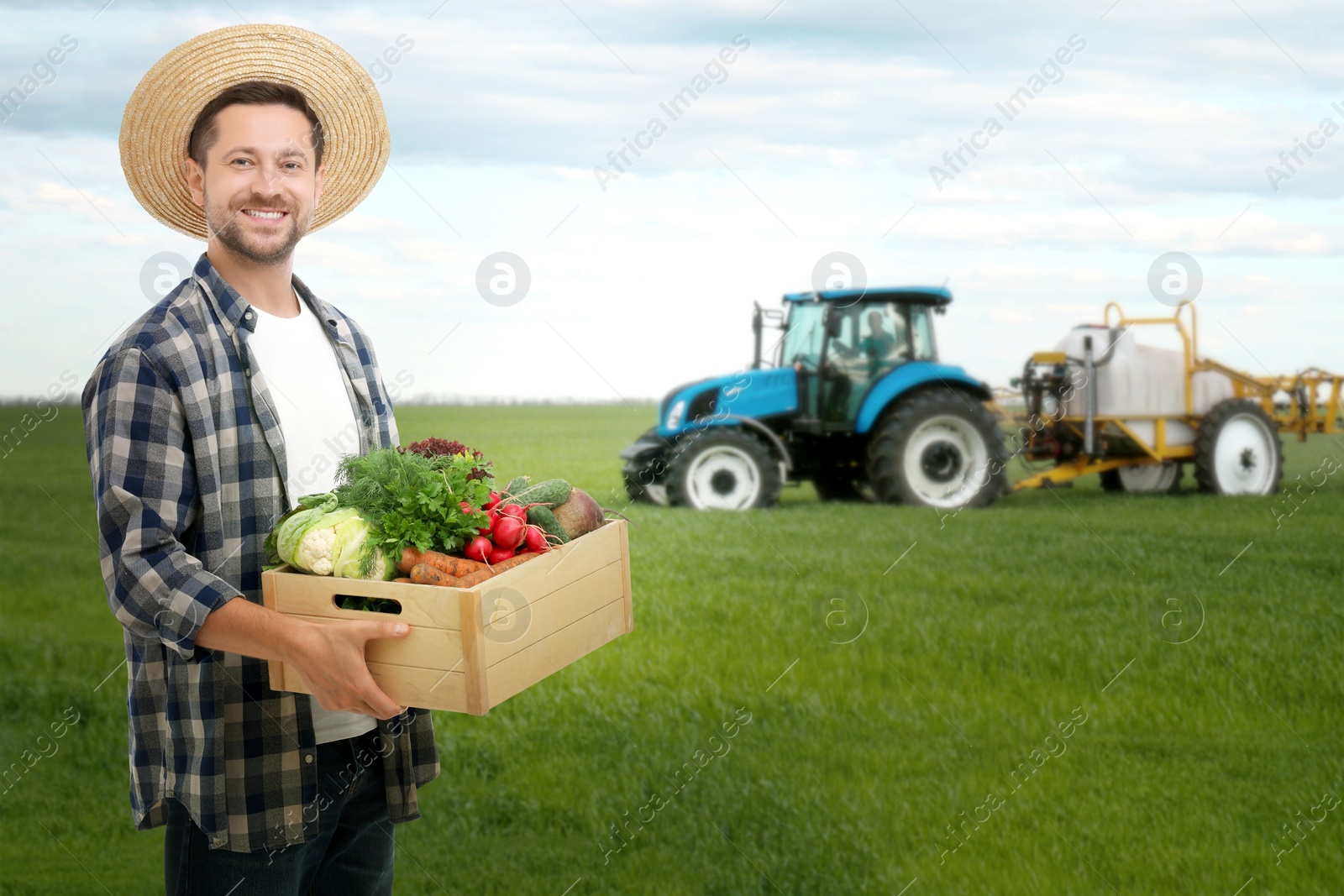 Image of Harvesting season. Farmer holding wooden crate with crop in field