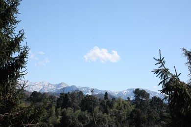 Photo of Picturesque view of forest and mountains under blue sky