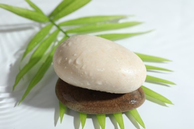 Photo of Spa stones and palm leaves in water on white background, closeup