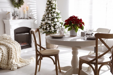 Photo of Christmas traditional flower Poinsettia on table with festive setting in room