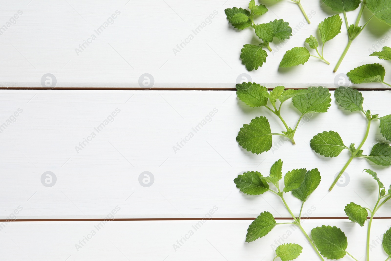 Photo of Fresh lemon balm leaves on white wooden table, flat lay. Space for text