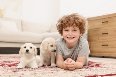 Photo of Little boy with cute puppies on carpet at home