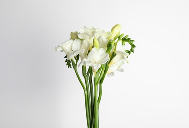 Photo of Beautiful tender freesia flowers on white background