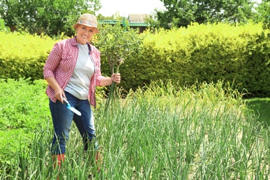 Woman working in garden on sunny day