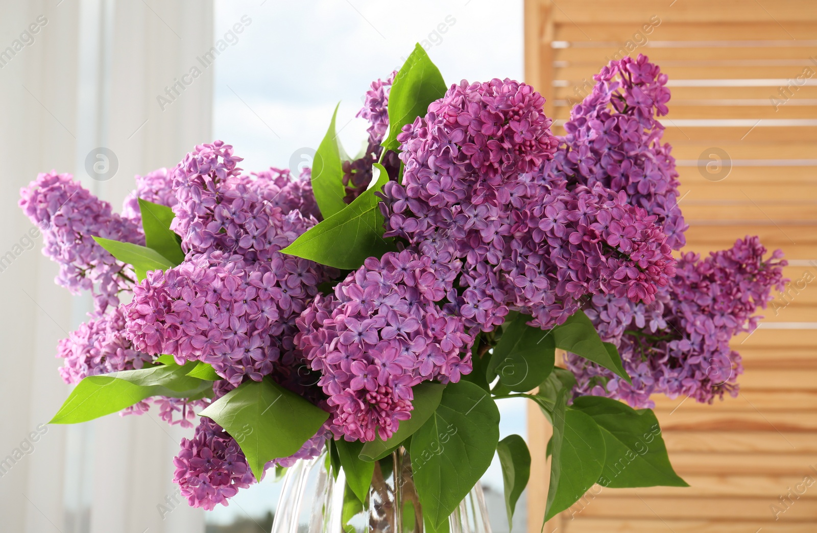 Photo of Beautiful blooming lilac flowers in vase indoors